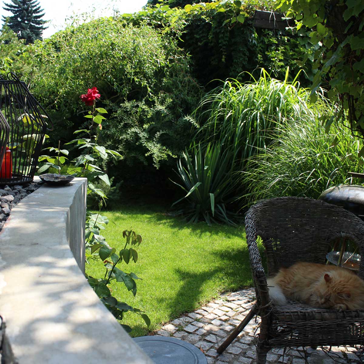 Malowniczy ogród na Ochocie Strefa relaksu w miejskim ogrodzie Ogród jako drugi salon Wnętrze ogrodowe Dom i ogród Tras w ogrodzie Klimat w ogrodzie