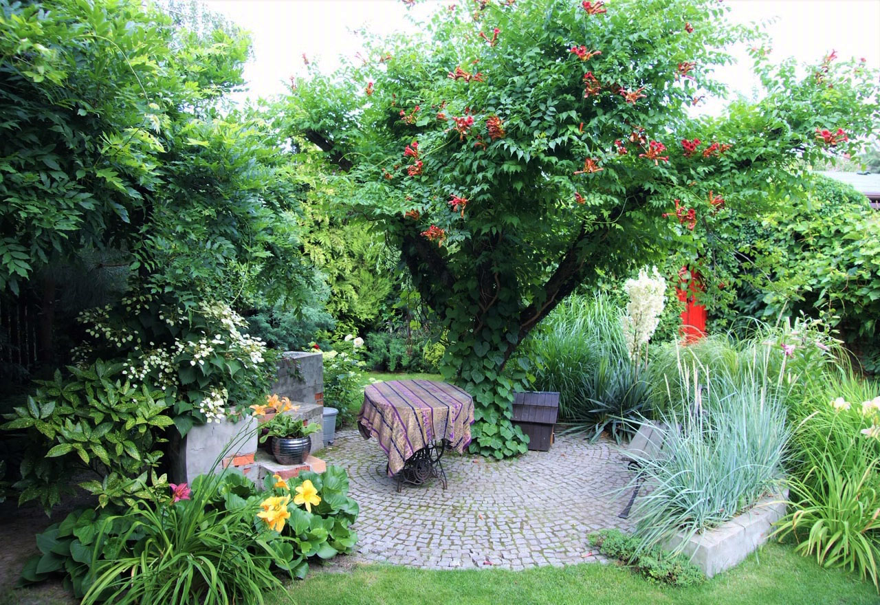 Malowniczy ogród na Ochocie Strefa relaksu w miejskim ogrodzie Ogród jako drugi salon Wnętrze ogrodowe Dom i ogród Tras w ogrodzie Klimat w ogrodzie